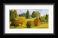 Autumn in Quebec Fine Art Print