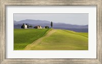 Val d'Orcia, Siena, Tuscany (detail) Fine Art Print