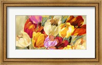 Field of Colorful Tulips Fine Art Print