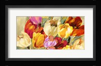 Field of Colorful Tulips Fine Art Print