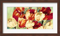 Red & White Tulips Fine Art Print