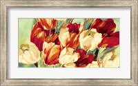 Red & White Tulips Fine Art Print