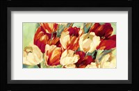 Red & White Tulips Fine Art Print