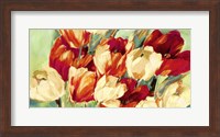 Red & White Tulips Fine Art Print