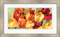 Field of Tulips Fine Art Print