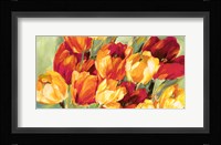 Field of Tulips Fine Art Print