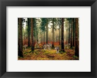 Pack of Wolves in the Woods Fine Art Print