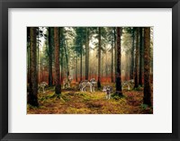 Pack of Wolves in the Woods Fine Art Print
