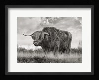 Scottish Highland Bull (BW) Fine Art Print