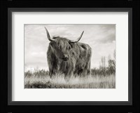 Scottish Highland Cattle (BW) Fine Art Print