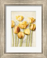 Tulipes et Histoires Fine Art Print