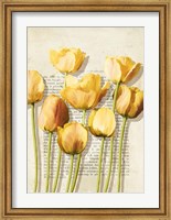 Tulipes et Histoires Fine Art Print