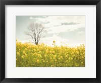 Yellow Meadow Fine Art Print