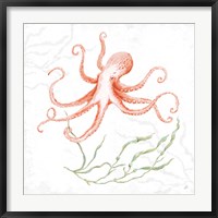 Delicate Sea V Red Fine Art Print