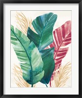 The Tropics II Fine Art Print