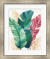 The Tropics II Fine Art Print