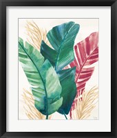 The Tropics II Framed Print