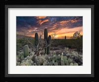 Sunset Moonrise Fine Art Print