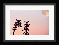 Moon Desert Fine Art Print