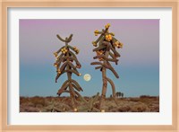 Desert Moonrise Fine Art Print