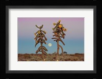 Desert Moonrise Fine Art Print