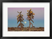 Desert Moonrise Framed Print