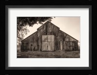 Hiding from the Rain Fine Art Print