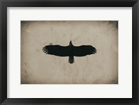 Eagle Pass Framed Print