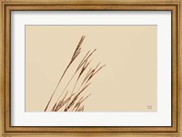 Lakeside Grasses IV Fine Art Print