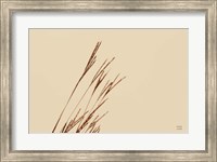 Lakeside Grasses IV Fine Art Print