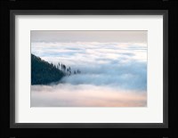 Fog and Forest III Fine Art Print