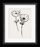 Ink Anemones I Black Fine Art Print
