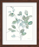 Transparent Branch Eucalyptus Fine Art Print