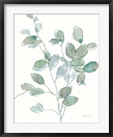 Transparent Branch Eucalyptus Fine Art Print