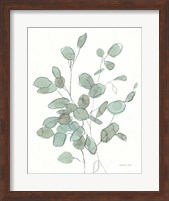 Transparent Leaves Eucalyptus Fine Art Print
