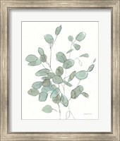 Transparent Leaves Eucalyptus Fine Art Print