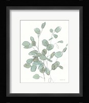 Transparent Leaves Eucalyptus Fine Art Print