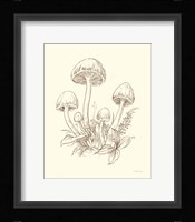 Nature Sketchebook IX Brown Fine Art Print