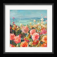 Coastal Dahlias Framed Print