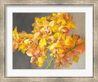 Orchid Dreaming Fine Art Print