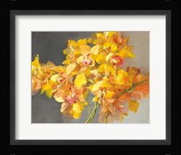 Orchid Dreaming Framed Print