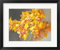 Orchid Dreaming Fine Art Print