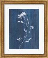 Simple Nature IV Fine Art Print