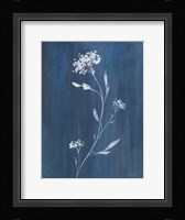 Simple Nature IV Framed Print