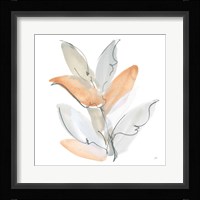 From the Forest II Framed Print