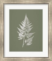 True Green VIII Fine Art Print