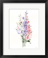 Spring Blooms II Framed Print