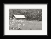 Summer Farm III BW Fine Art Print