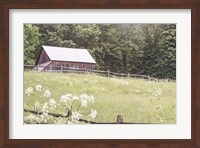 Summer Farm I Fine Art Print
