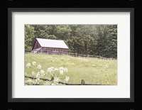 Summer Farm I Fine Art Print